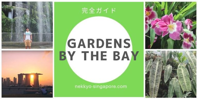 割引あり ガーデンズ バイ ザ ベイ完全ガイド 在住者が教える シンガポールと熱狂