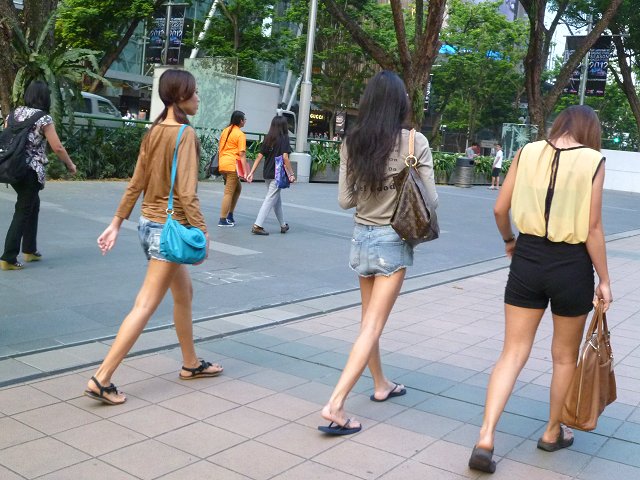 在住者が解説 シンガポールの雨の日おすすめ観光と雨季対策